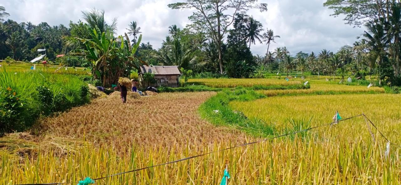 Rindu Homestay Undisan ภายนอก รูปภาพ