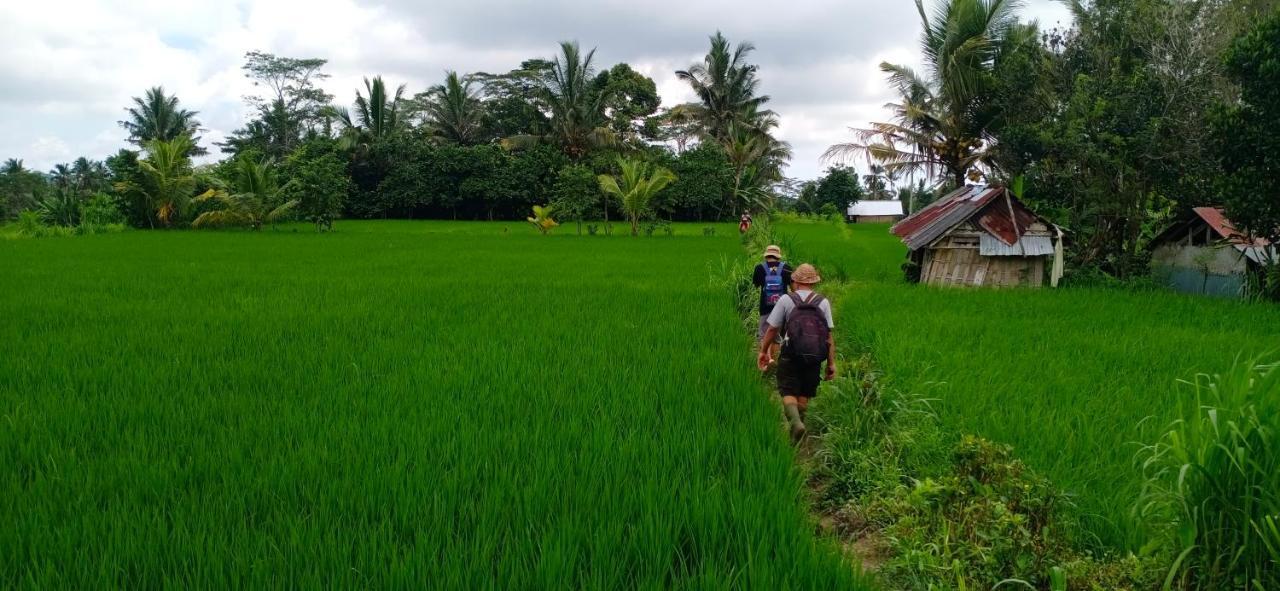 Rindu Homestay Undisan ภายนอก รูปภาพ